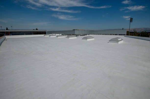 Best Roof Leak Repair  in Chico, TX